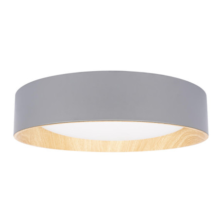 Потолочный светодиодный светильник Loft It Coin 10202 Grey, LED 36W 4000K 2700lm - миниатюра 2