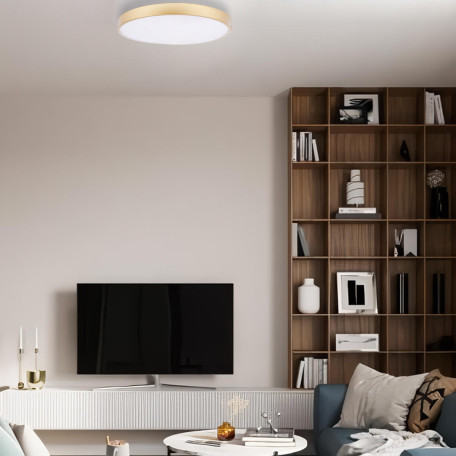 Потолочный светодиодный светильник Loft It Flims 10228/A, LED 24W 4000K 1680lm - миниатюра 7