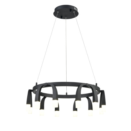 Подвесная светодиодная люстра Vele Luce Negro VL7102P12, LED 48W 4000K 2880lm - миниатюра 2