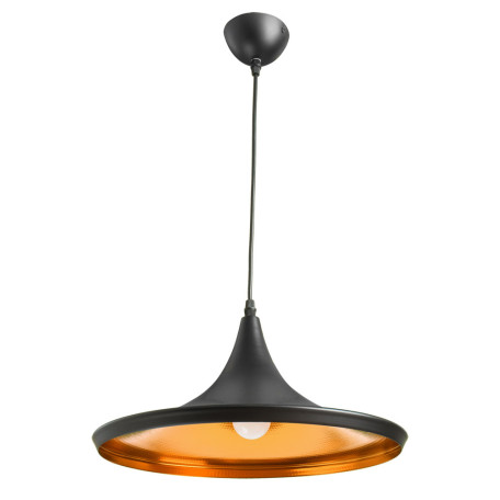 Подвесной светильник Arte Lamp Cappello A3406SP-1BK, 1xE27x40W