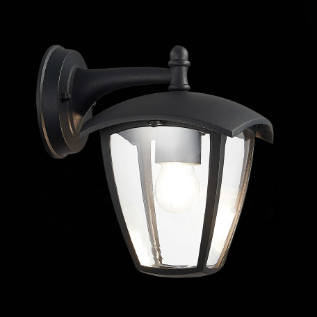 Настенный фонарь ST Luce Sivino SL081.411.01, IP44, 1xE27x40W - миниатюра 8