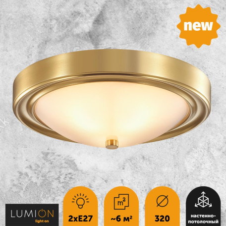 Потолочный светильник Lumion Nina 5259/2C, 2xE27x60W - миниатюра 3