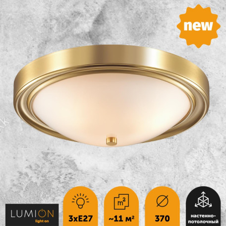 Потолочный светильник Lumion Nina 5259/3C, 3xE27x60W - миниатюра 3