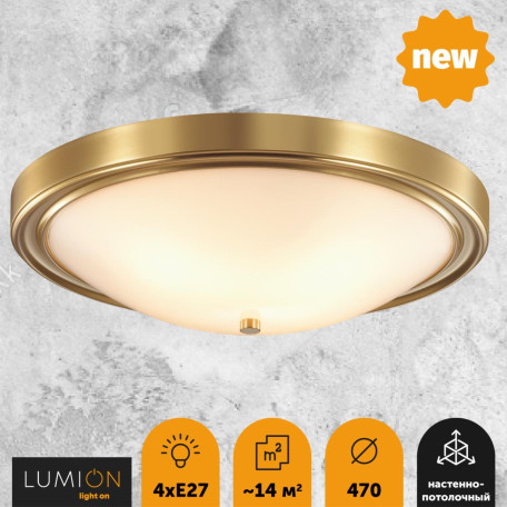 Потолочный светильник Lumion Nina 5259/4C, 4xE27x60W - миниатюра 3