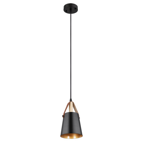 Подвесной светильник Arte Lamp Thomas A7032SP-1BK, 1xE27x60W