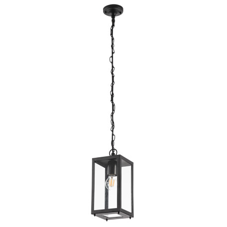 Подвесной светильник Arte Lamp Belfast A4569SO-1BK, IP44, 1xE27x60W