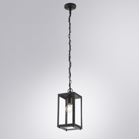 Подвесной светильник Arte Lamp Belfast A4569SO-1BK, IP44, 1xE27x60W - миниатюра 2