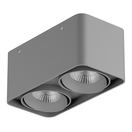 Потолочный светодиодный светильник Lightstar Monocco 052129, IP65, LED 20W 4000K 1200lm