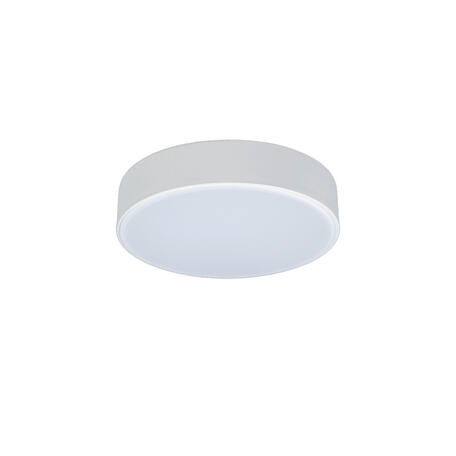 Потолочный светодиодный светильник Loft It Axel 10002/12 White, LED 12W 4000K 1100lm