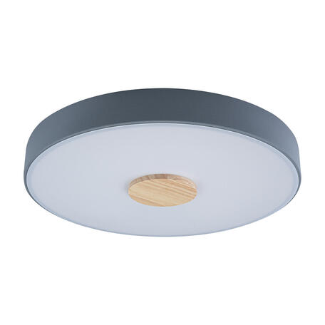 Потолочный светодиодный светильник Loft It Axel 10003/24 Grey, LED 24W 4000K 2000lm