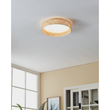 Потолочный светодиодный светильник Eglo Luppineria 900464, LED 24W 3000K 2500lm - миниатюра 2