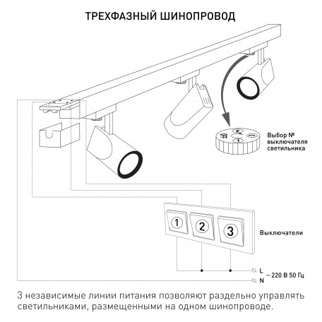 Схема с размерами Elektrostandard a039589