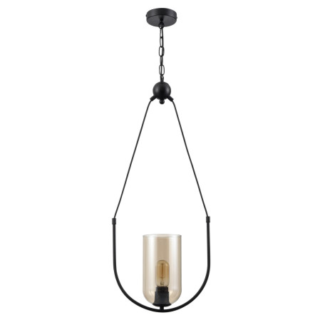 Подвесной светильник Vele Luce Fiamma VL5812P01, 1xE27x60W - миниатюра 2