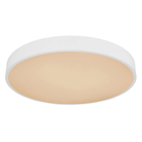 Потолочный светодиодный светильник Globo Leanara 41756-36W, LED 36W RGB 1800lm - миниатюра 7