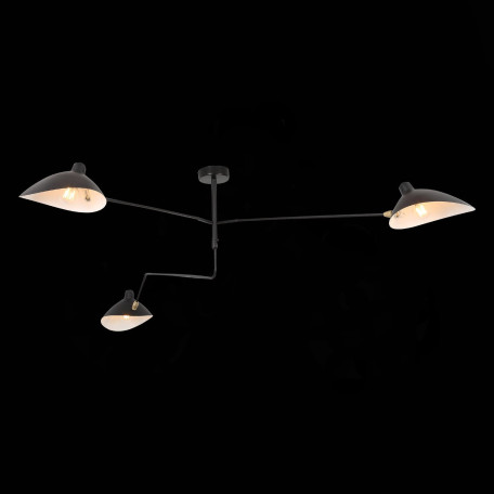 Потолочная люстра с регулировкой направления света ST Luce Spruzzo SL305.402.03, 3xE27x60W - миниатюра 4