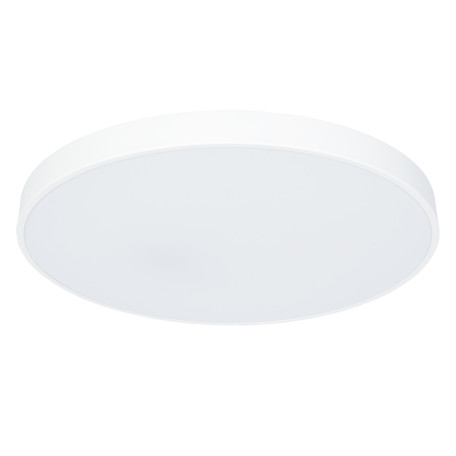 Потолочный светодиодный светильник с пультом ДУ Arte Lamp Arena A2671PL-1WH, LED 80W 2700-4500K 8800lm CRI≥80