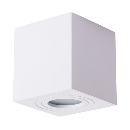 Потолочный светильник Arte Lamp Galopin A1461PL-1WH, IP44, 1xGU10x35W