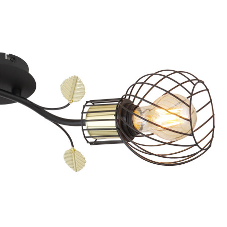 Потолочная люстра Globo Lally 54113-2W, 2xE27x40W - миниатюра 8