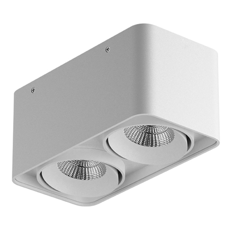 Потолочный светодиодный светильник Lightstar Monocco 052326, IP65, LED 20W 3000K 1200lm