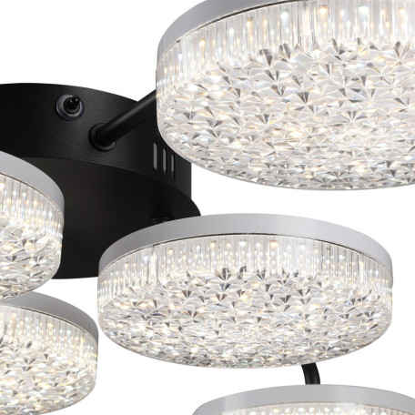 Потолочная люстра Lumion Didana 8236/6CL - миниатюра 9