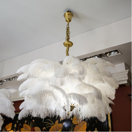 Светильник L'Arte Luce Feather Lamp L03406, 6xE14x40W - миниатюра 3