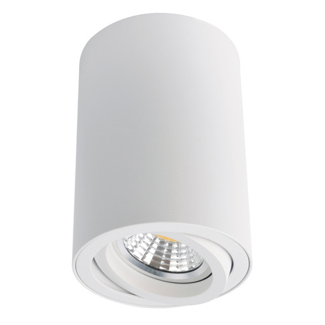 Потолочный светильник Arte Lamp Sentry A1560PL-1WH, 1xGU10x50W