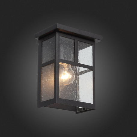 Настенный светильник ST Luce Glazgo SL079.401.01, IP54, 1xE27x60W - миниатюра 4