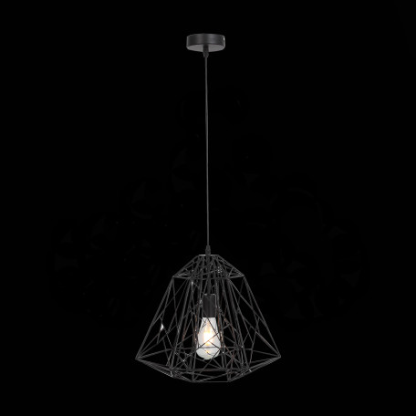 Подвесной светильник ST Luce Strano SL264.403.01, 1xE27x60W - миниатюра 2