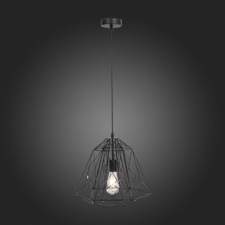 Подвесной светильник ST Luce Strano SL264.403.01, 1xE27x60W - миниатюра 3