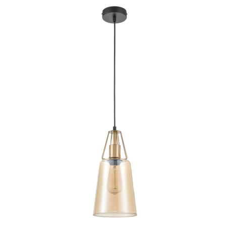 Подвесной светильник Vele Luce Roberto VL5552P11, 1xE27x60W - миниатюра 2