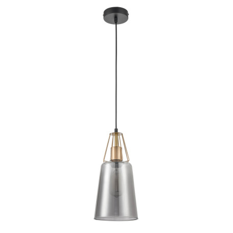 Подвесной светильник Vele Luce Roberto VL5552P21, 1xE27x60W - миниатюра 2