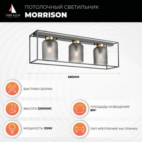 Потолочный светильник Vele Luce Morrison VL5472L03, 3xE27x40W - миниатюра 3